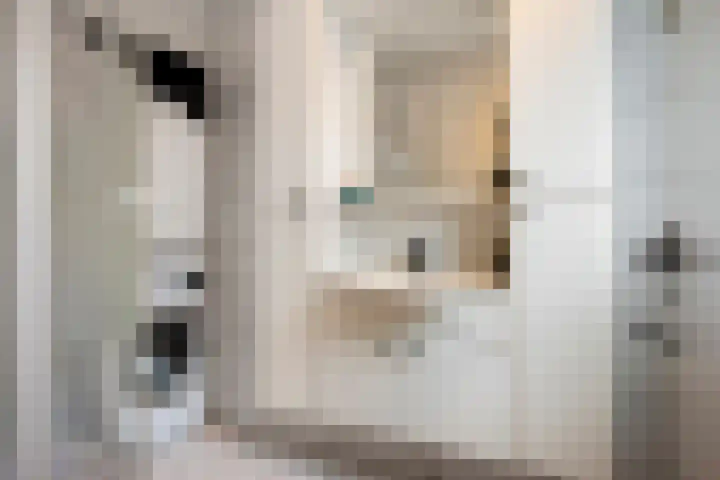 Leliestraat 19 Echt thumbnail 13