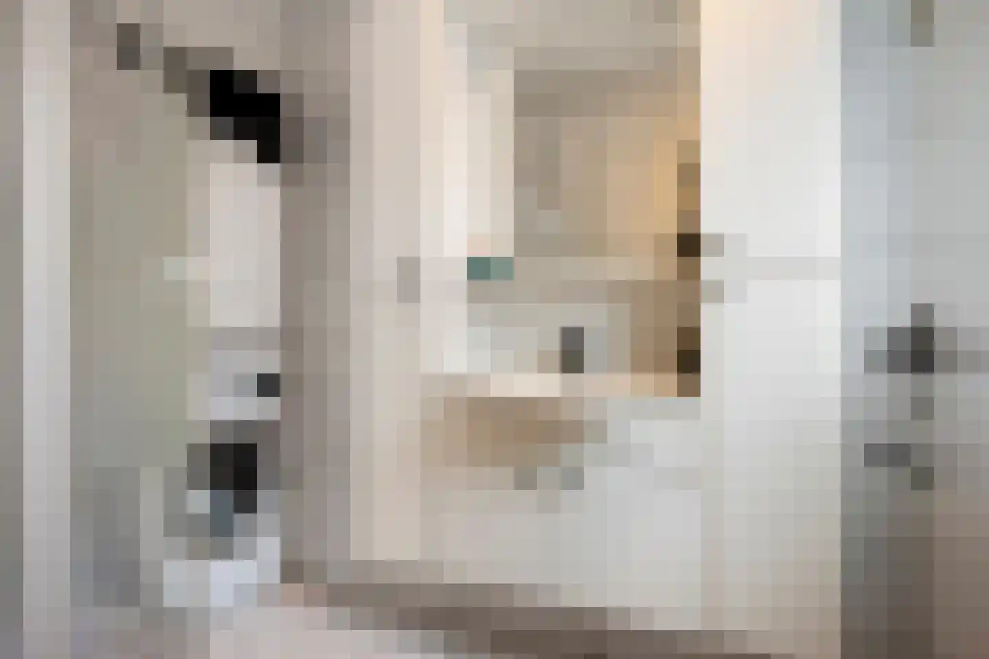 Leliestraat 19 Echt thumbnail 14