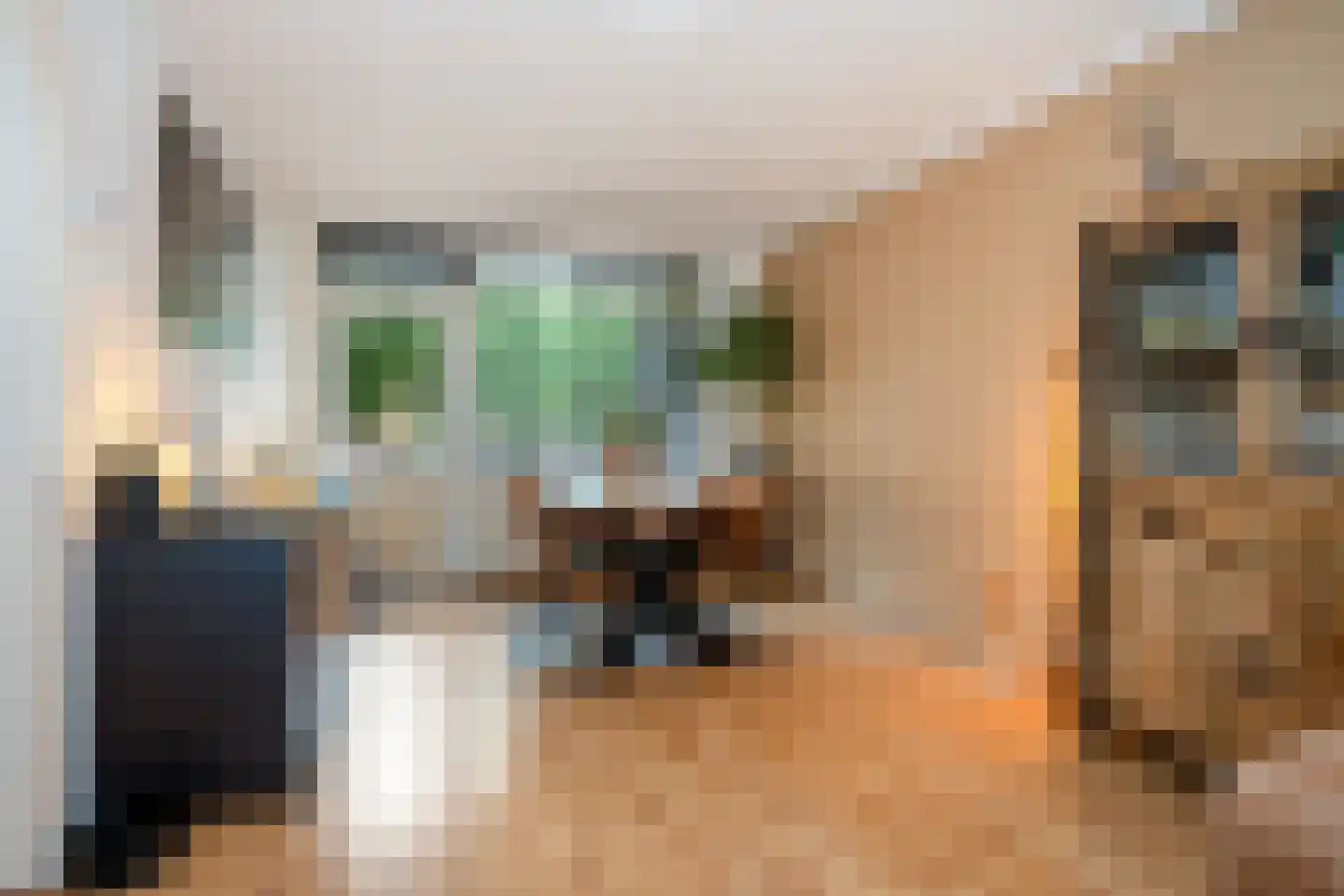 Leliestraat 19 Echt thumbnail 16