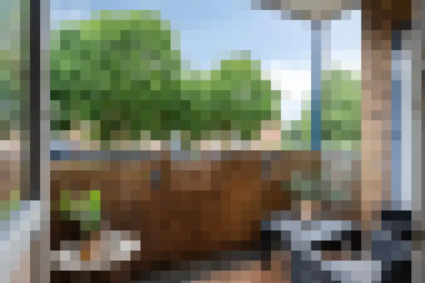 Leliestraat 19 Echt thumbnail 4