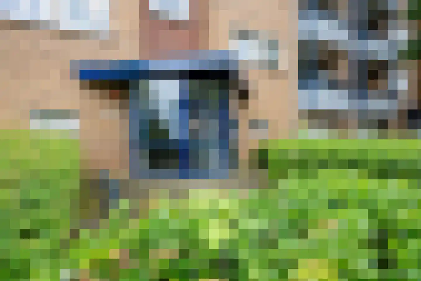 Leliestraat 19 Echt thumbnail 7
