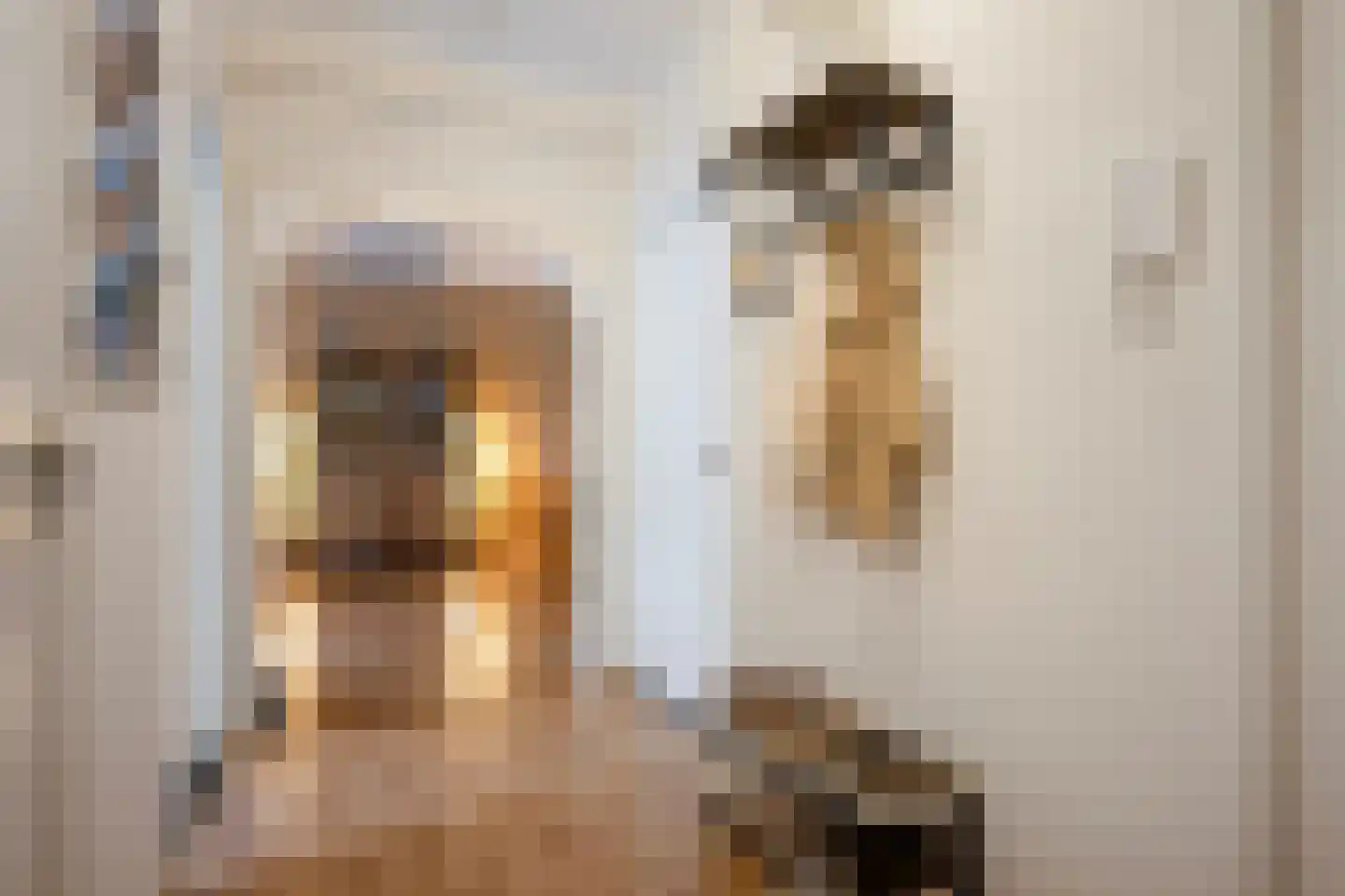 Leliestraat 19 Echt thumbnail 8