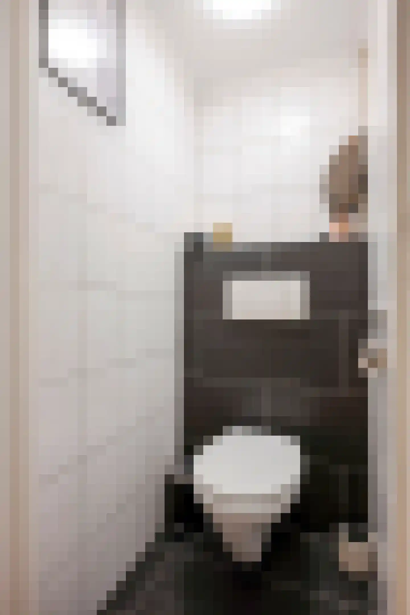 Leliestraat 19 Echt thumbnail 9