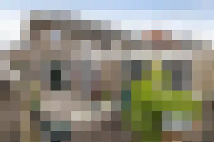 Leliestraat 2 A Hengelo thumbnail 21