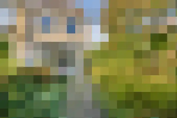 Leliestraat 2 Badhoevedorp thumbnail 25
