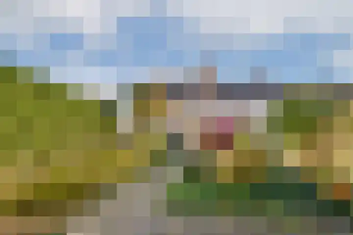 Leliestraat 2 Badhoevedorp thumbnail 26