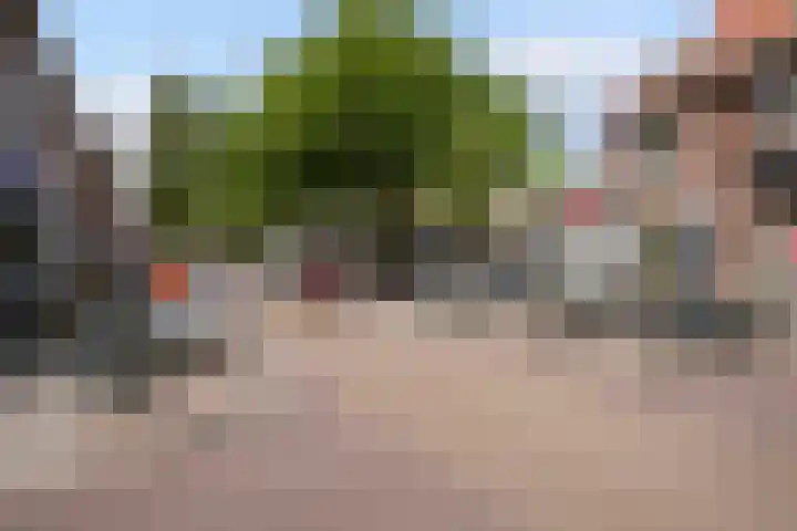 Leliestraat 2 Schiedam thumbnail 28