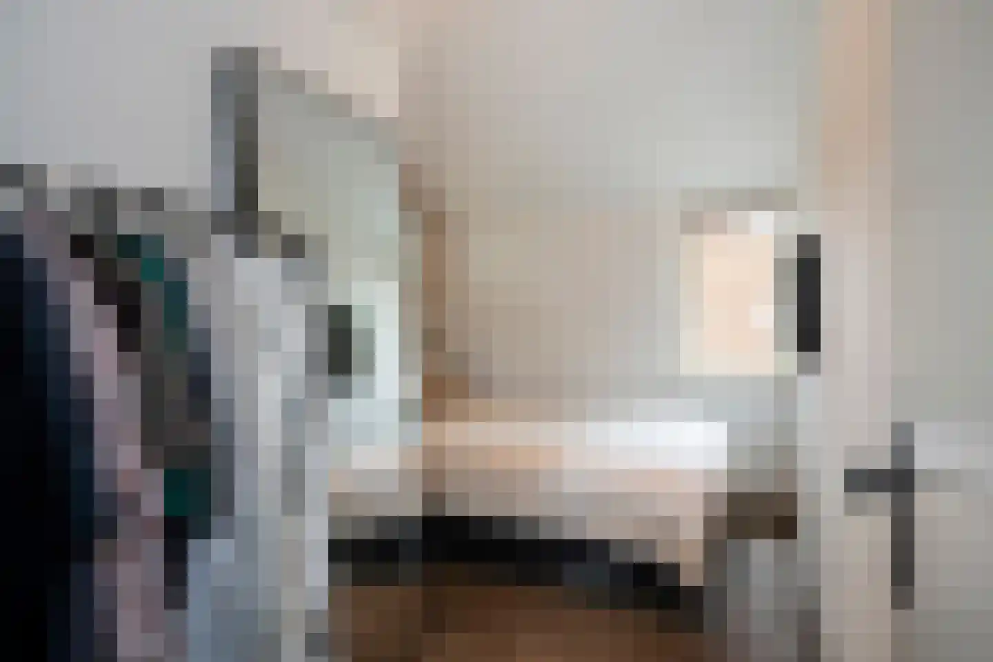 Leliestraat 2 Sittard thumbnail 20