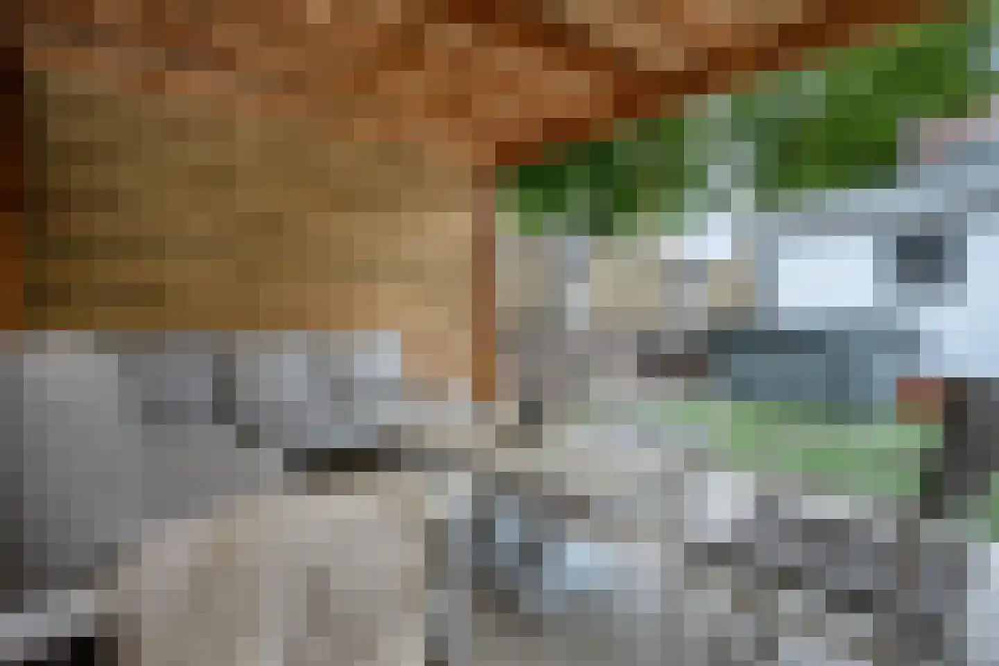 Leliestraat 2 Sittard thumbnail 31