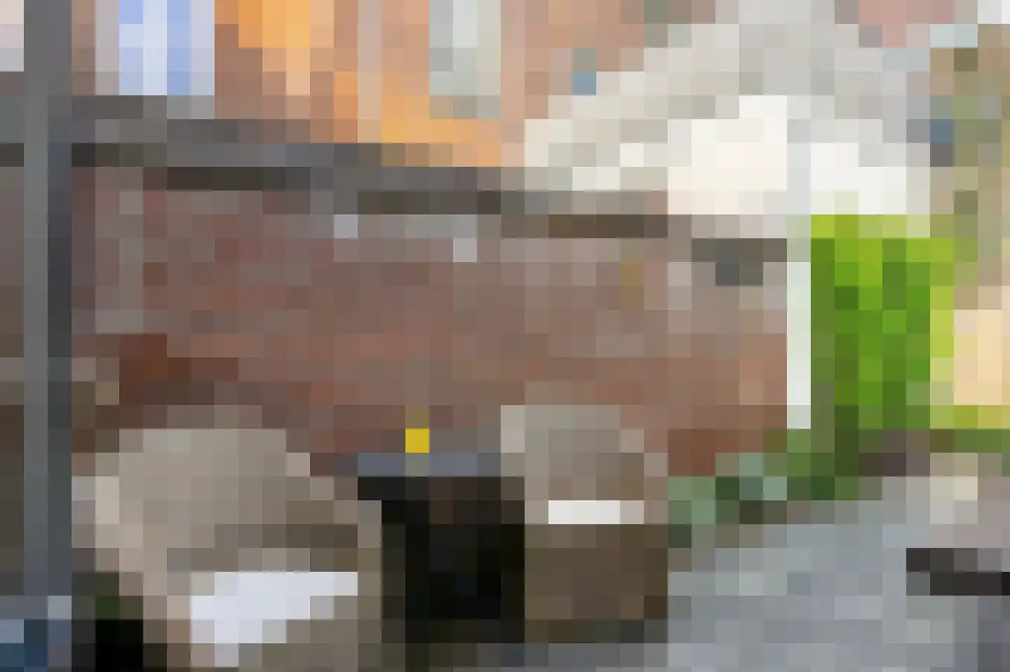 Leliestraat 2 Utrecht thumbnail 31
