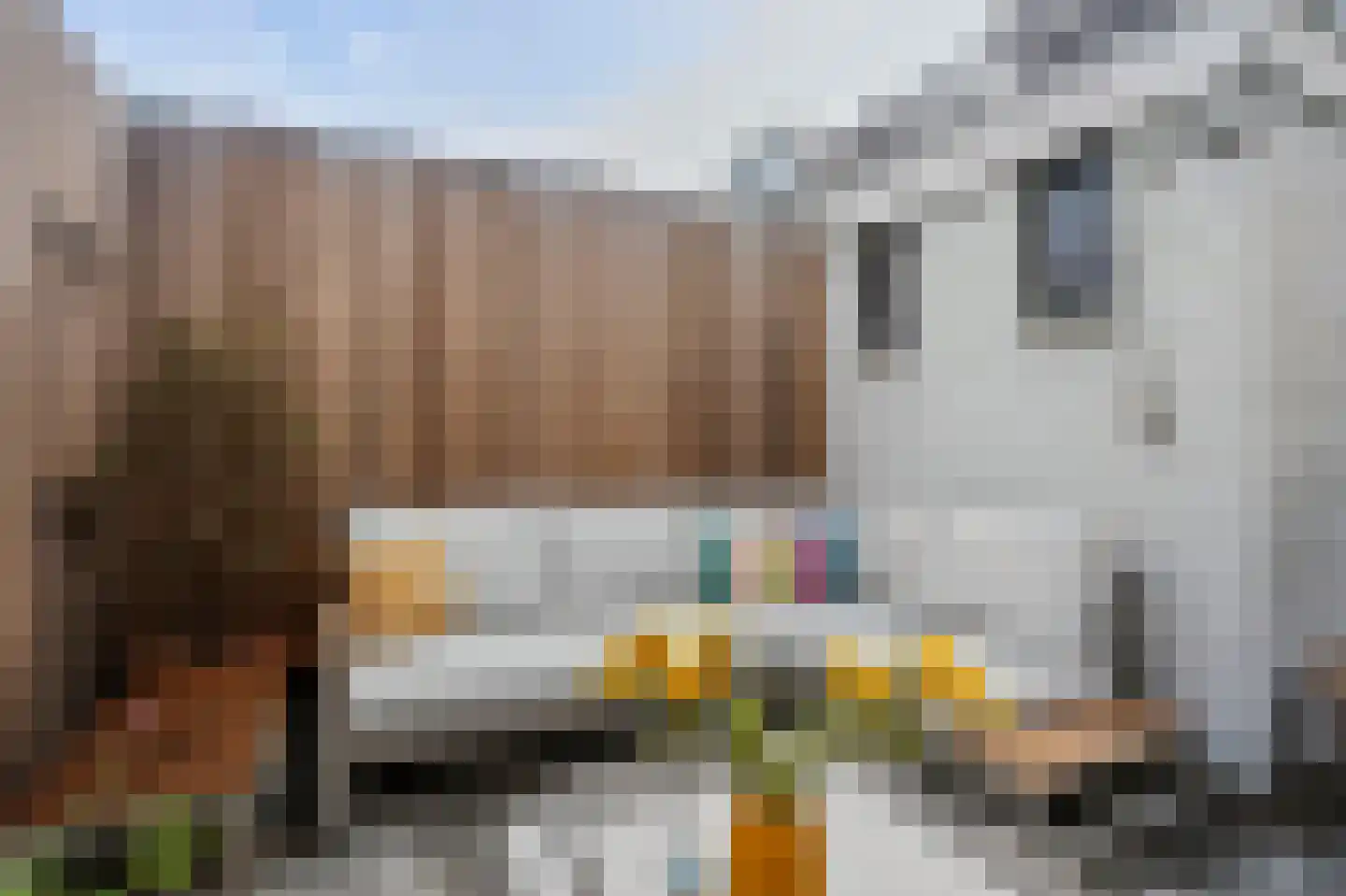 Leliestraat 2 Utrecht thumbnail 33