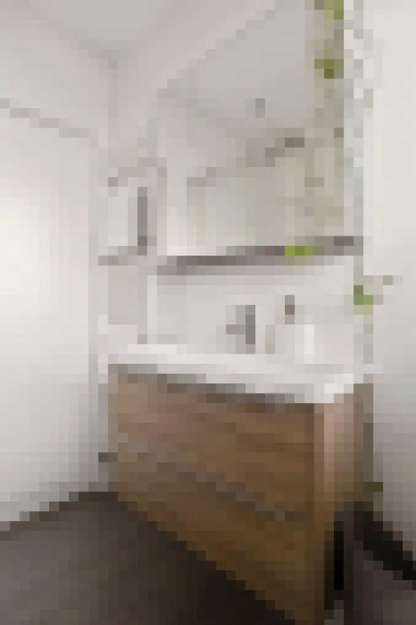 Leliestraat 2 Utrecht thumbnail 49