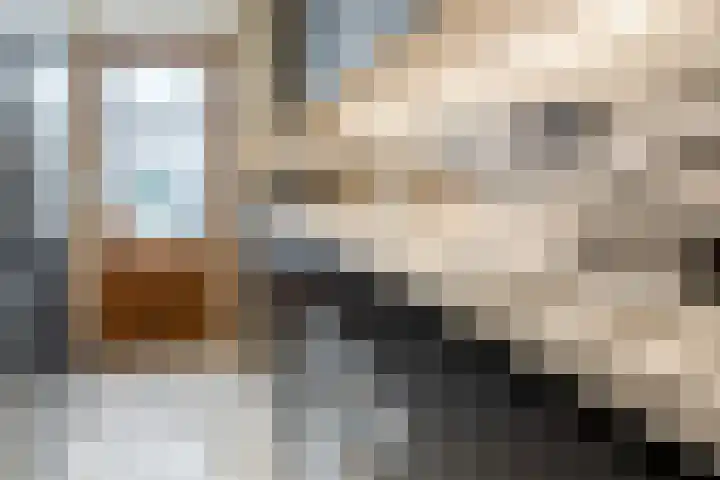 Leliestraat 20 Dongen thumbnail 12