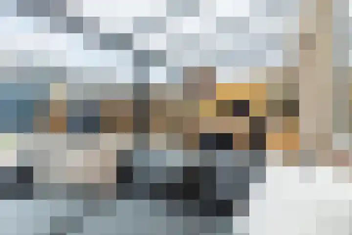 Leliestraat 20 Dongen thumbnail 14