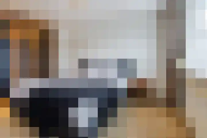 Leliestraat 20 Dongen thumbnail 20