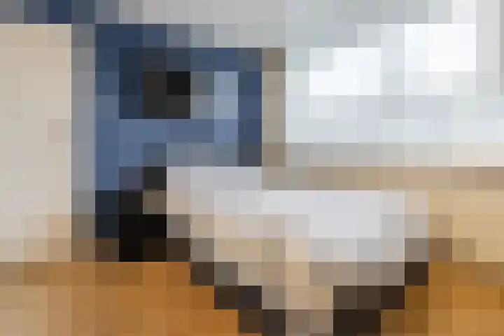 Leliestraat 20 Dongen thumbnail 24