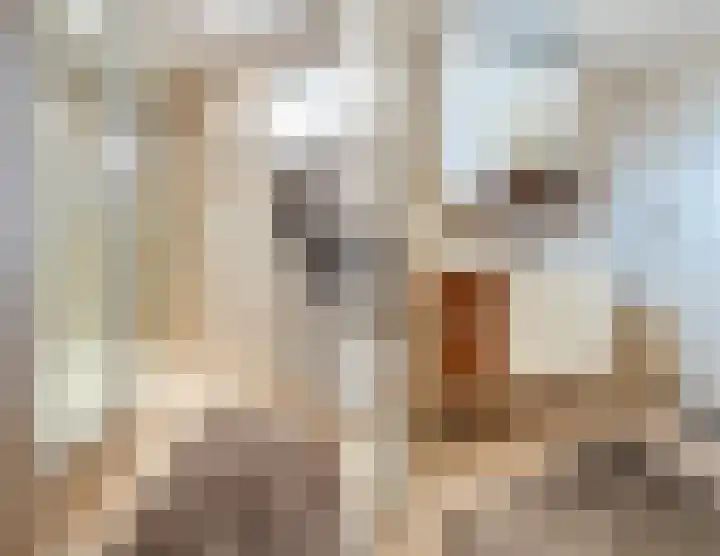 Leliestraat 20 Dongen thumbnail 29