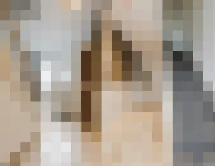 Leliestraat 20 Dongen thumbnail 6