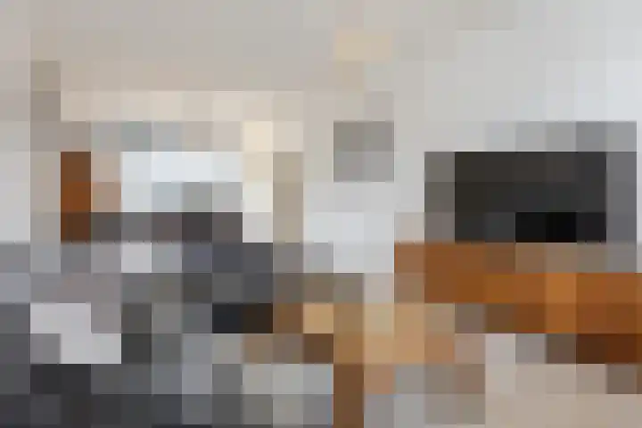 Leliestraat 20 Dongen thumbnail 7