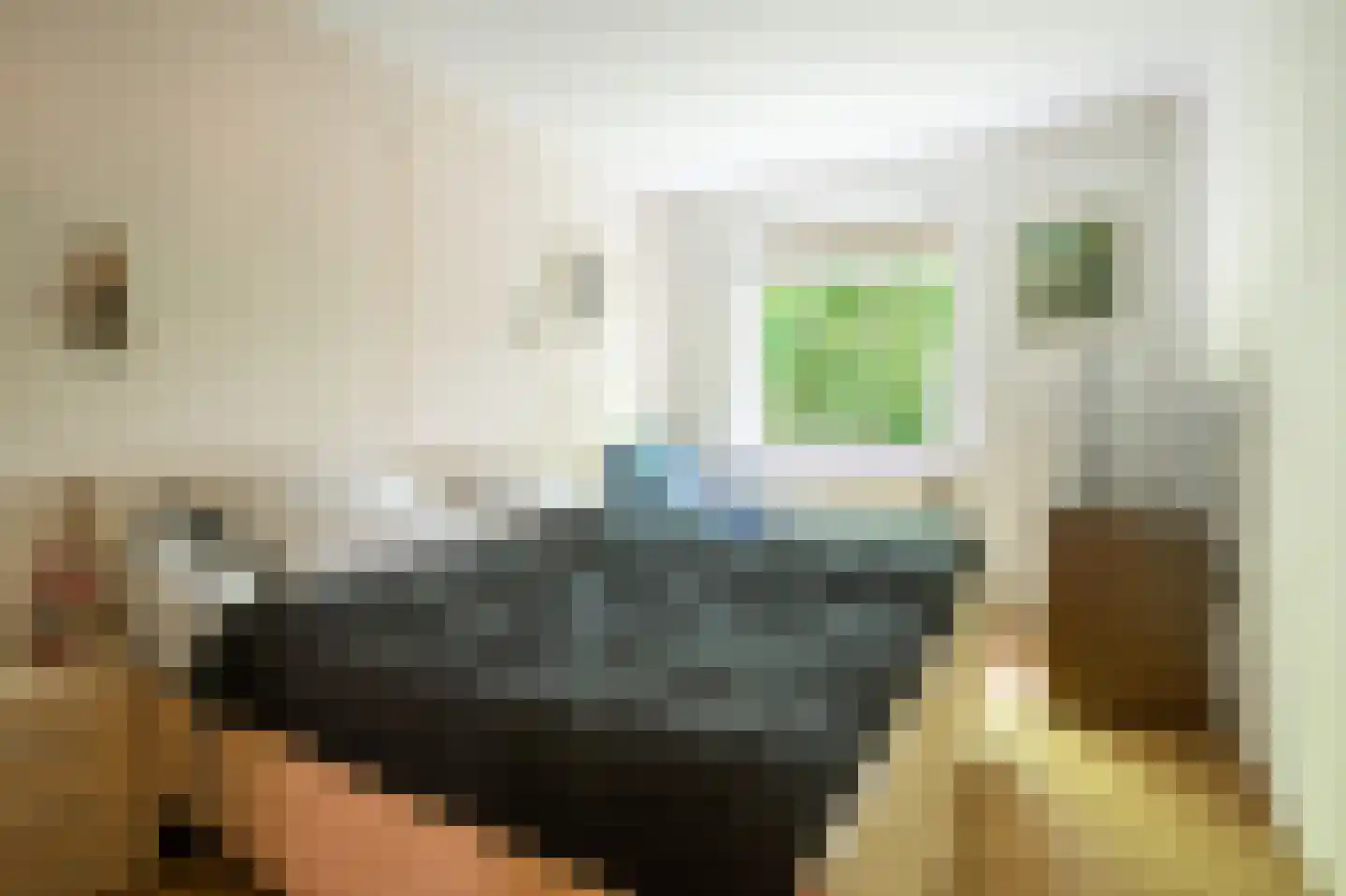 Leliestraat 20 Echt thumbnail 10