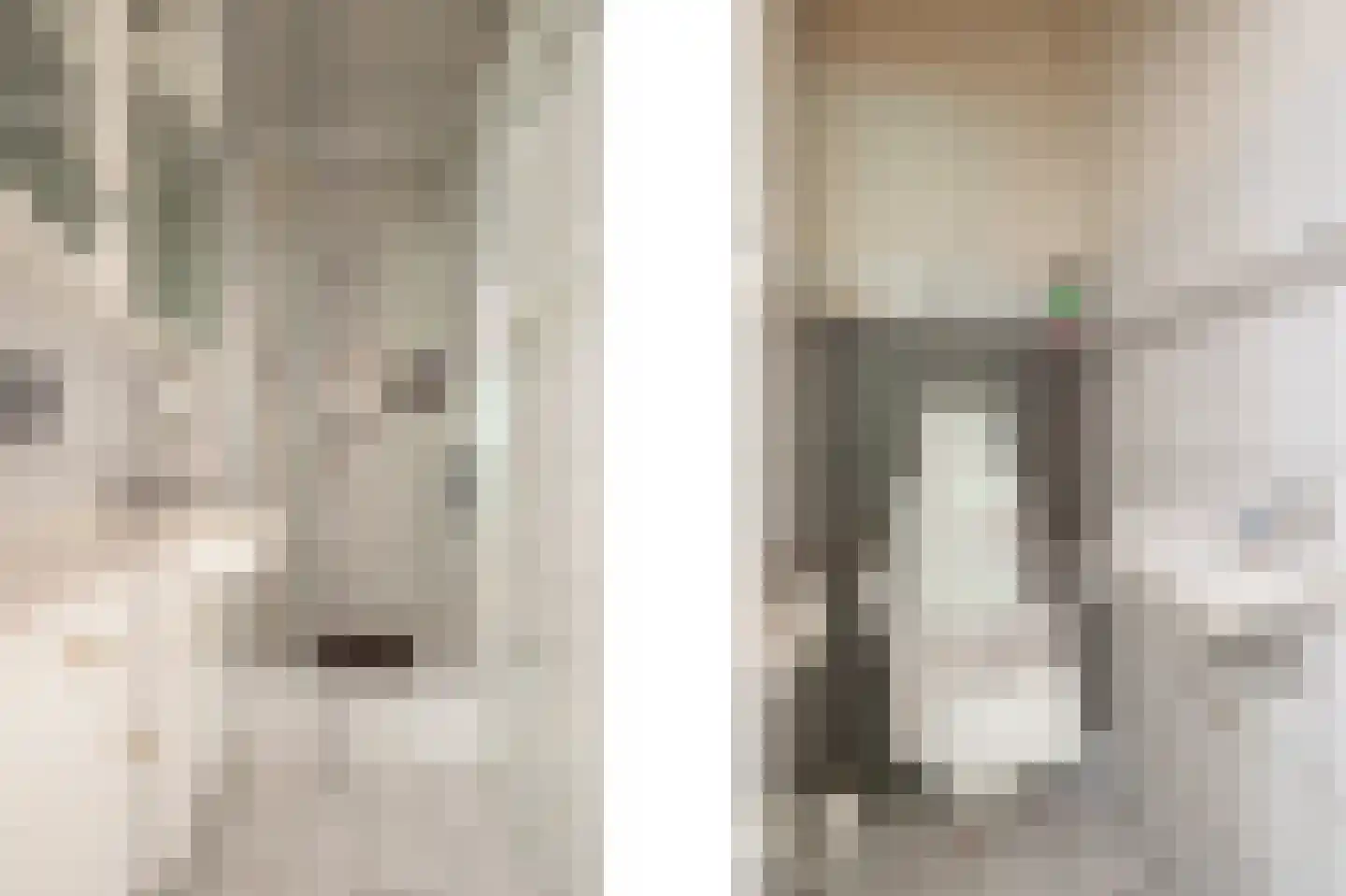 Leliestraat 20 Echt thumbnail 12