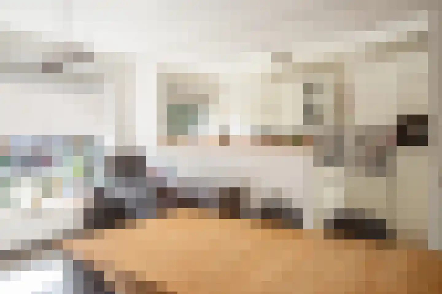 Leliestraat 20 Echt thumbnail 4