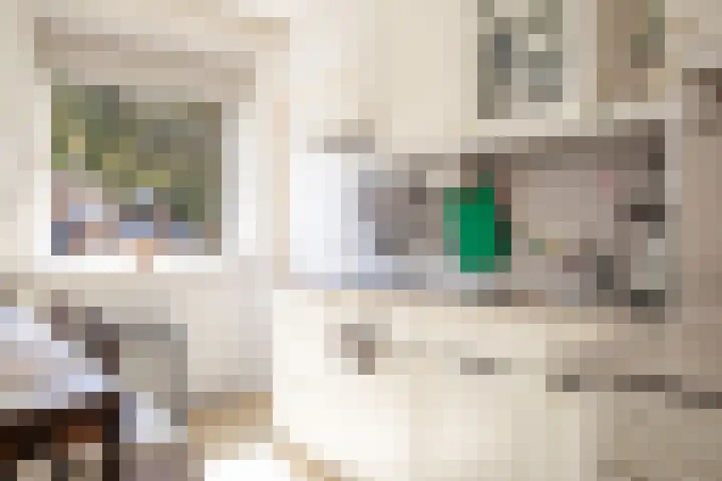 Leliestraat 20 Echt thumbnail 5