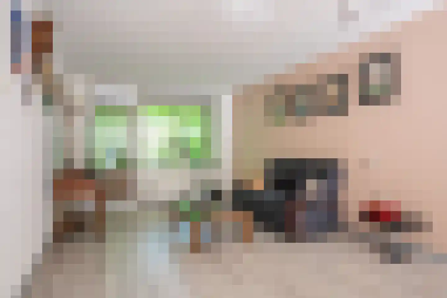 Leliestraat 20 Echt thumbnail 7