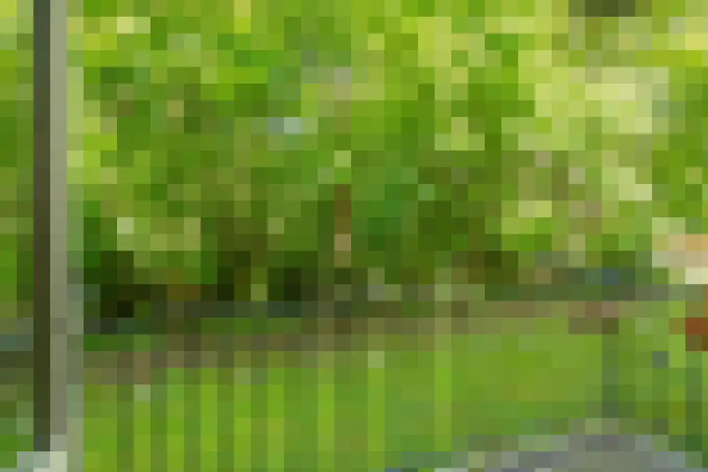 Leliestraat 20 Echt thumbnail 8