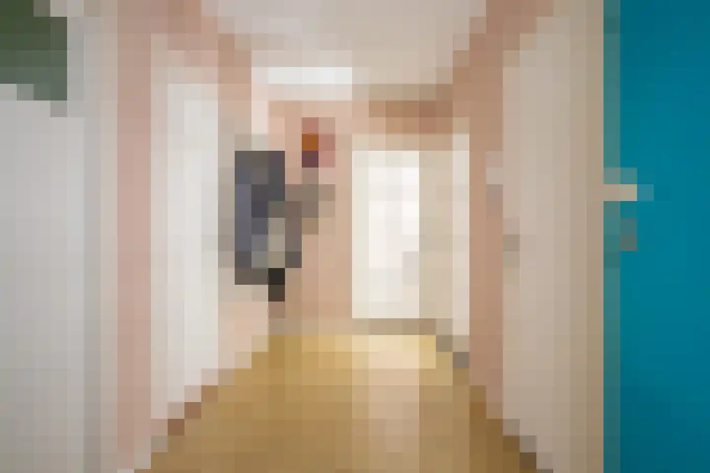 Leliestraat 20 Echt thumbnail 9