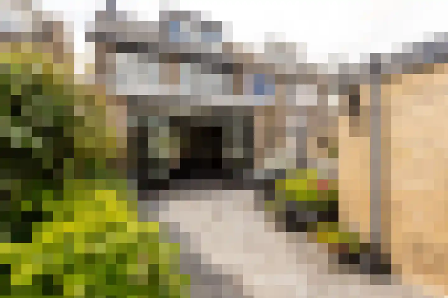 Leliestraat 21 Moordrecht thumbnail 21