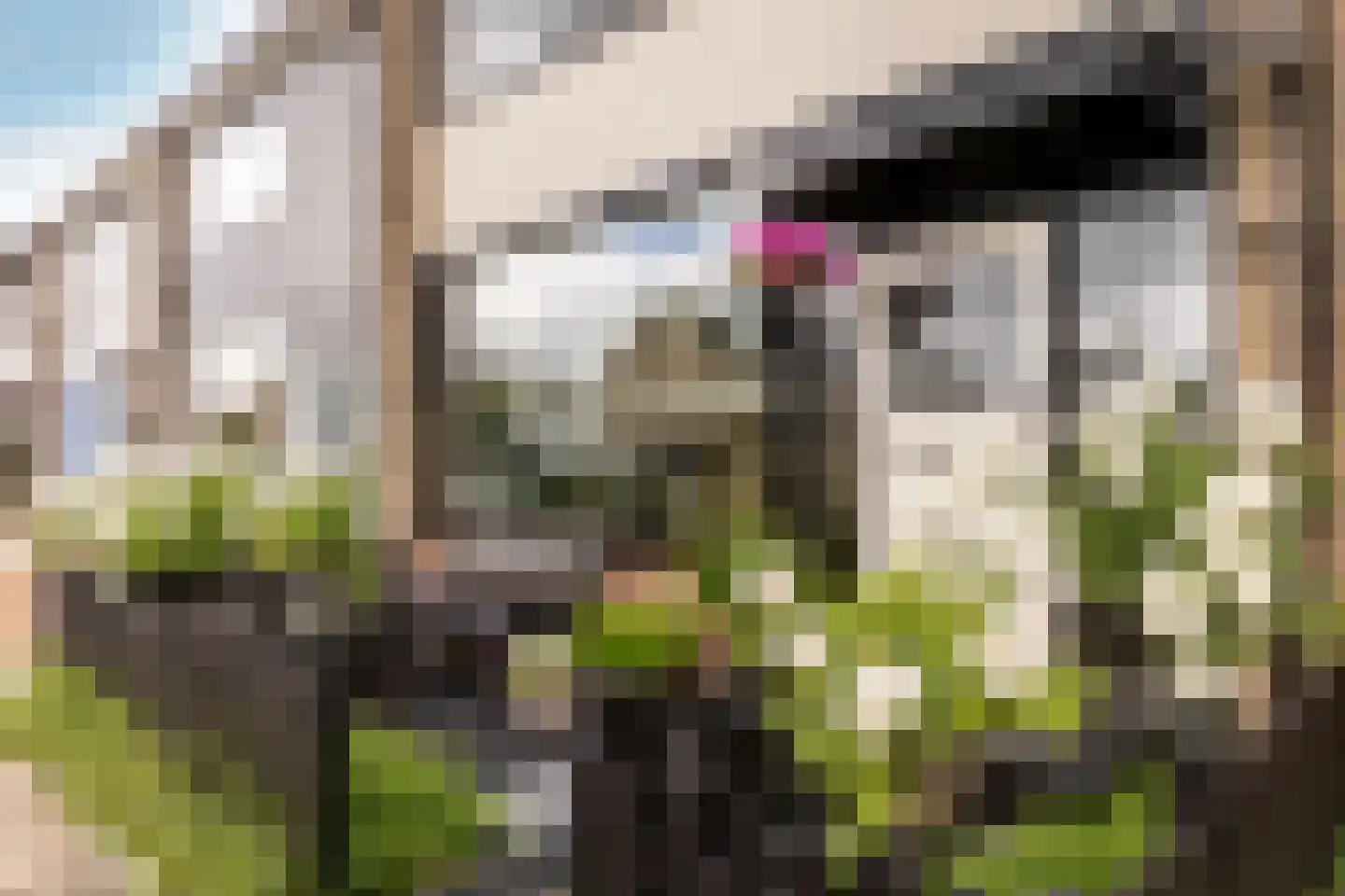 Leliestraat 21 Moordrecht thumbnail 6
