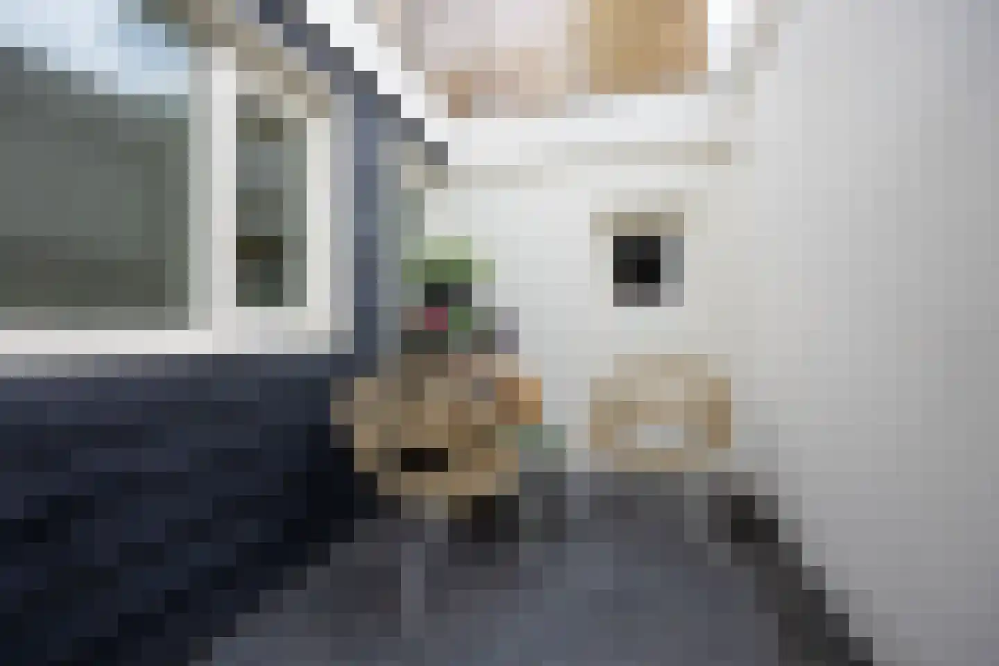 Leliestraat 21 Utrecht thumbnail 12
