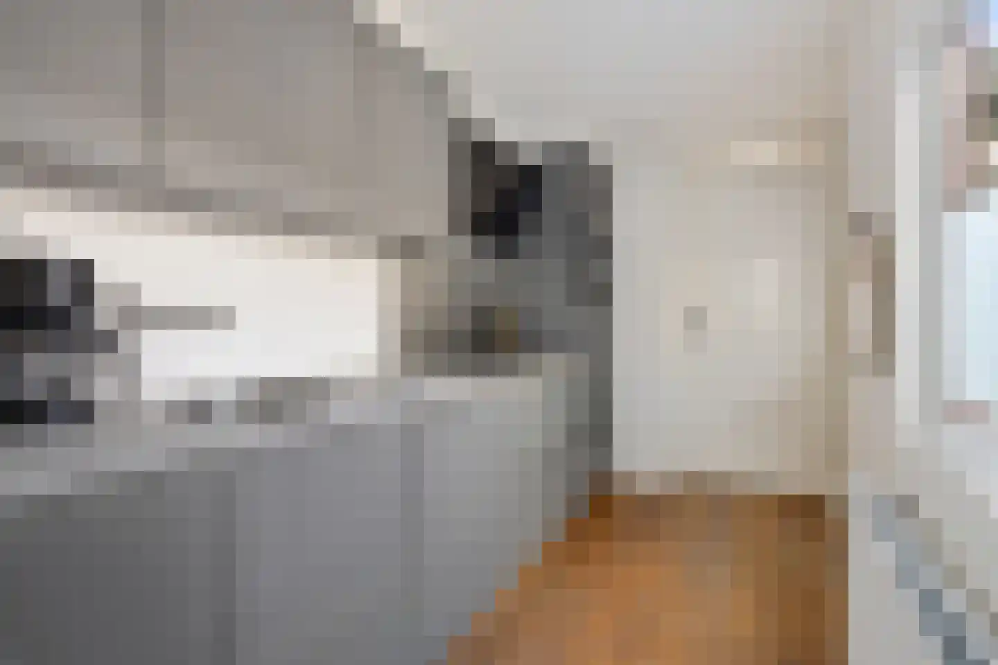 Leliestraat 22 Alphen aan den Rijn thumbnail 10