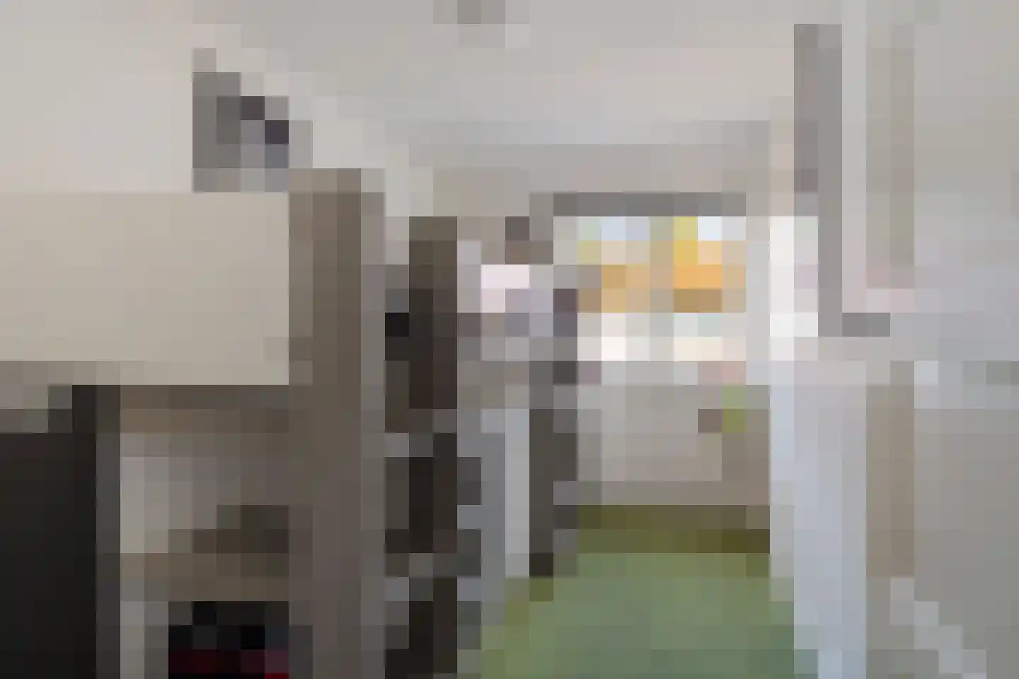 Leliestraat 22 Alphen aan den Rijn thumbnail 17