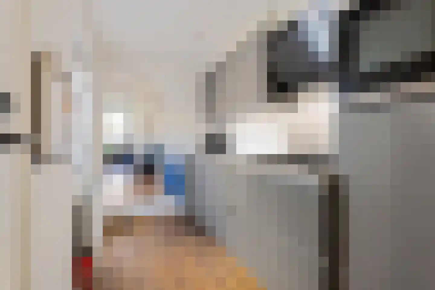 Leliestraat 22 Alphen aan den Rijn thumbnail 9