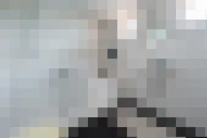 Leliestraat 22 Zeist thumbnail 12