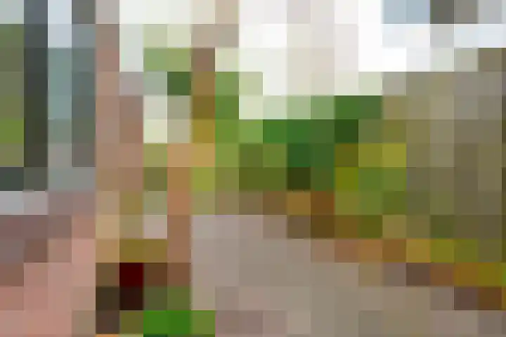 Leliestraat 22 Zeist thumbnail 28