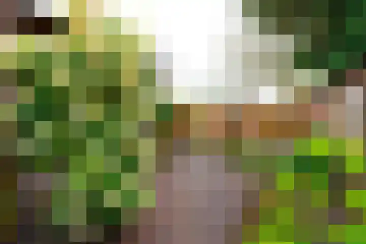 Leliestraat 22 Zeist thumbnail 29