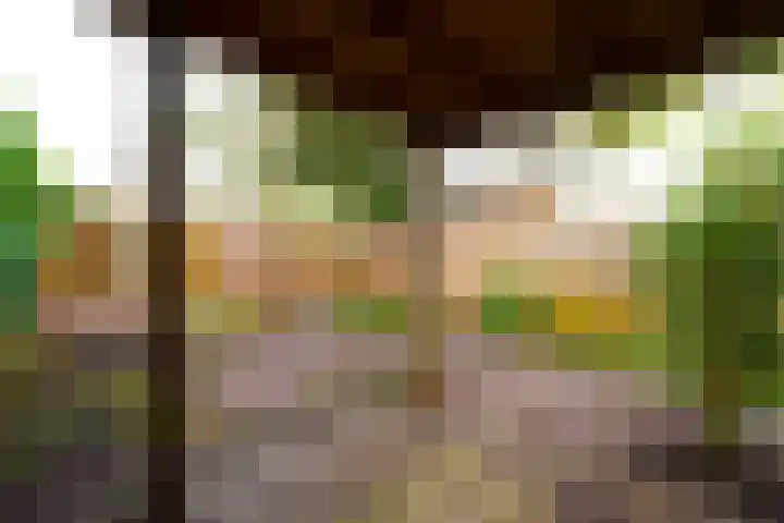 Leliestraat 22 Zeist thumbnail 32