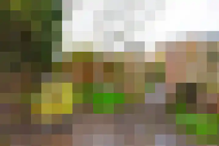 Leliestraat 22 Zeist thumbnail 33
