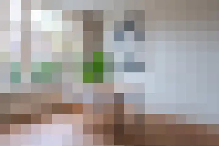 Leliestraat 22 Zeist thumbnail 8