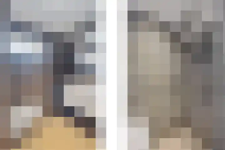 Leliestraat 23 Didam thumbnail 17