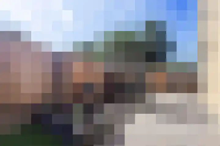 Leliestraat 23 Didam thumbnail 19