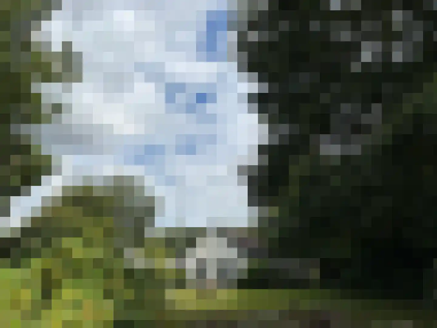 Leliestraat 23 Didam thumbnail 28