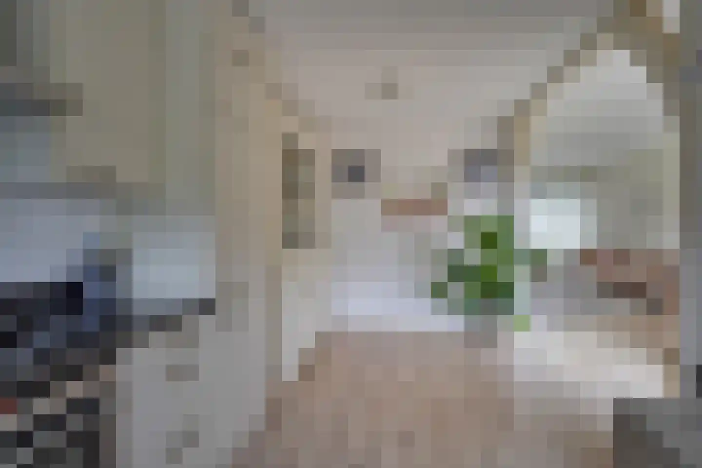 Leliestraat 23 Katwijk thumbnail 12