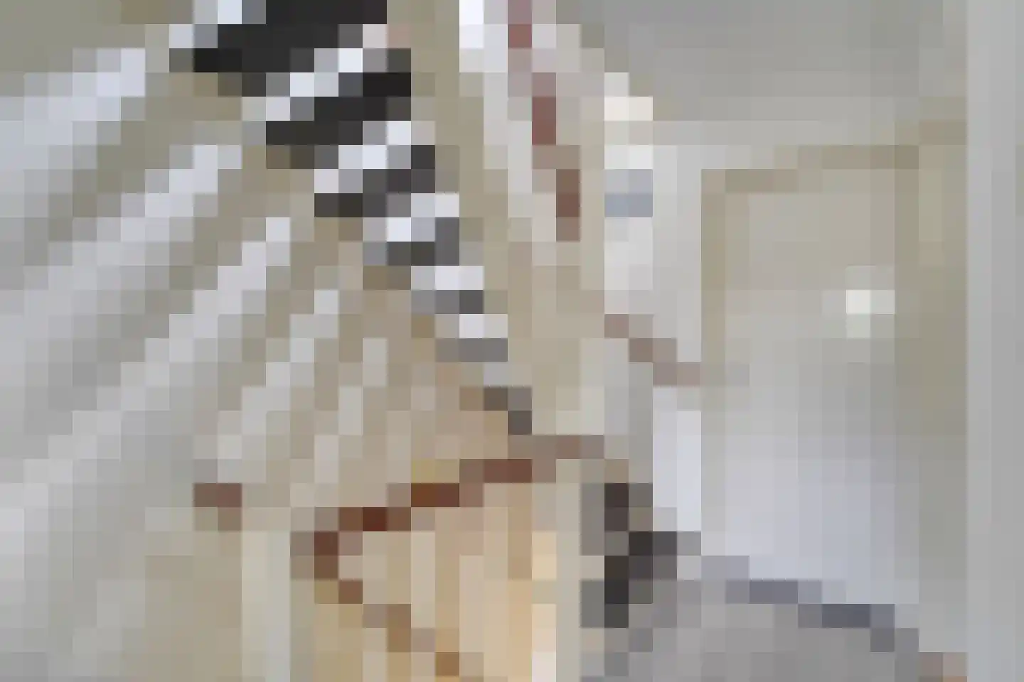 Leliestraat 23 Katwijk thumbnail 25