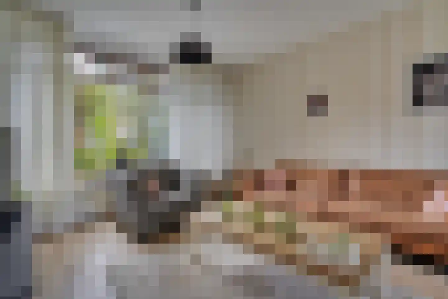 Leliestraat 23 Katwijk thumbnail 7