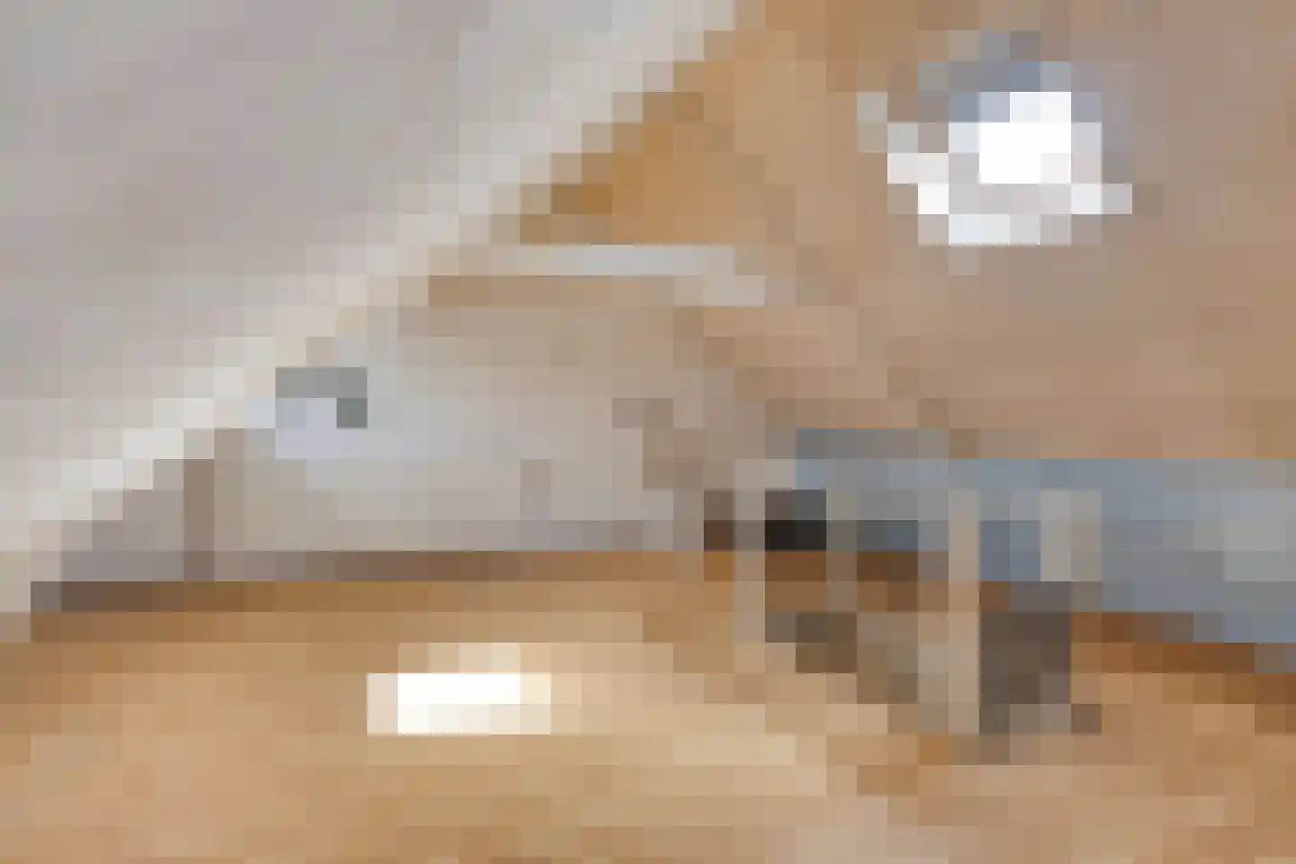 Leliestraat 23 Koog aan de Zaan thumbnail 37
