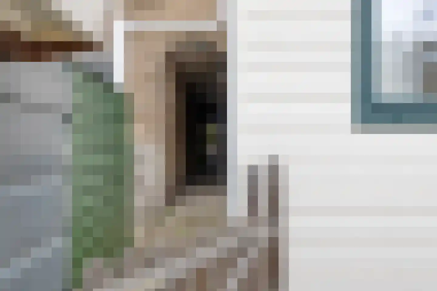Leliestraat 23 Koog aan de Zaan thumbnail 46
